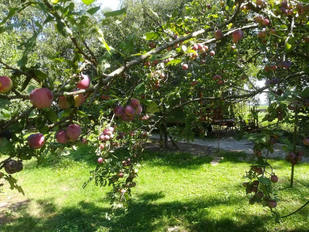 Vegawagen Psyche, Een Sprookje In Coevorden Extérieur photo