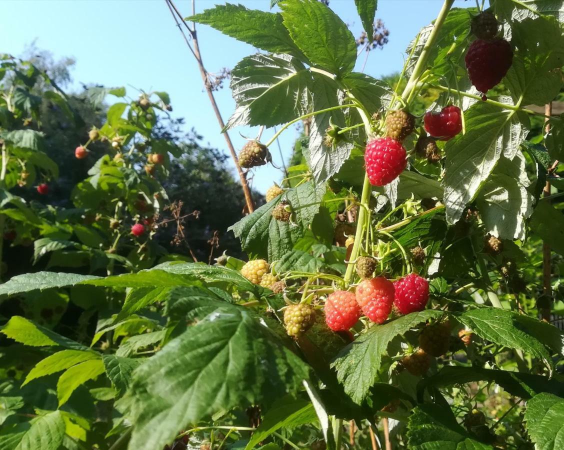 Vegawagen Psyche, Een Sprookje In Coevorden Extérieur photo
