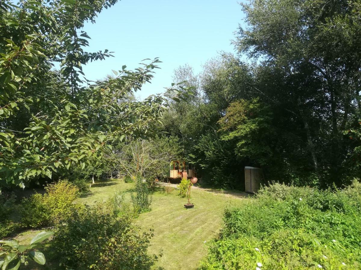 Vegawagen Psyche, Een Sprookje In Coevorden Extérieur photo